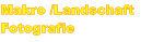 Makro /Landschaft Fotografie